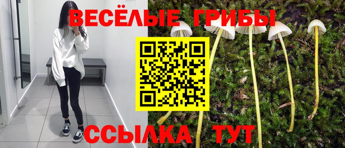 Галлюциногенные грибы Cubensis  Галлюциногенные грибы мицелий  Орёл  Вход с VPN 