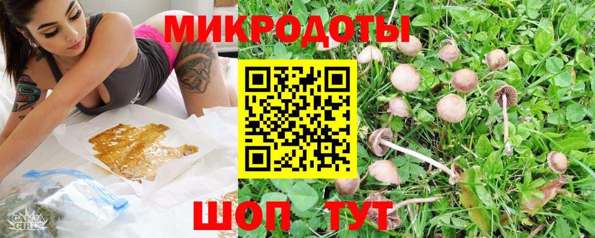 Псилоцибиновые грибы Cubensis Орёл
