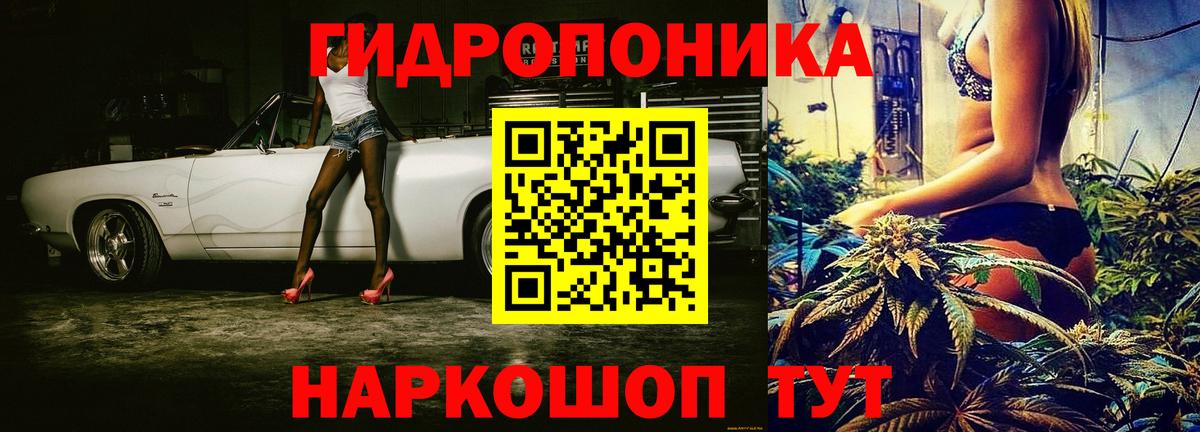 Каннабис MAZAR Орёл